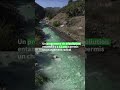 Au Chili, la renaissance d’un fleuve dépollué