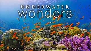 UNDERWATER WONDERS -Coral Reefs & Colorful Sea Life in 4K UHD + Healing 432Hz Music for Calm