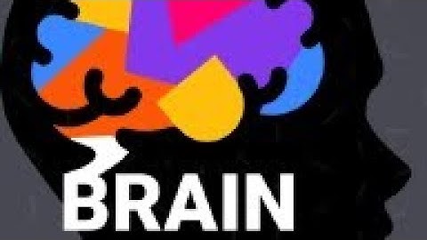 Brain Training Logic puzzles game | Hexa puzzle
