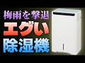 【除湿機ガチ検証】1日24L除湿の衝撃。三菱電機「美空感」の除湿スピードがバケモノすぎて完敗しました＜部屋干し、犬猫飼いにも＞