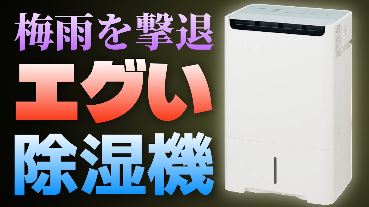 【除湿機ガチ検証】1日24L除湿の衝撃。三菱電機「美空感」の除湿スピードがバケモノすぎて完敗しました＜部屋干し、犬猫飼いにも＞