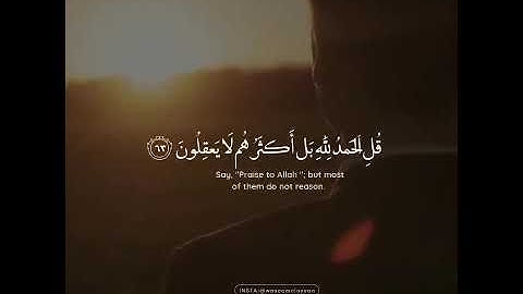 قرآن كريم بصوت القارئ شريف مصطفى تلاوة هادئ ارح قلبك 💚🌿حالة واتس اسلامية /ستوريات انستغرام