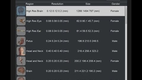 Anatomage High Resolution Features