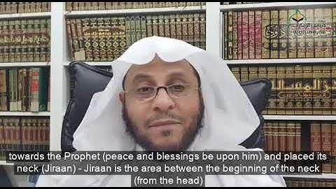 Do Animals Cry? - Sheikh Dr Aziz bin Farhan Al Anizi