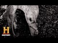 Mystery of the Stronsay Beast | In Search Of (Season 2) | History