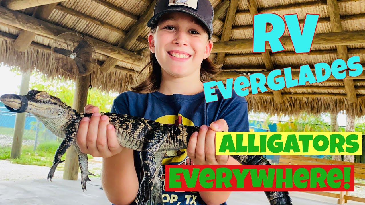 RVing in the Everglades or Alligators Everywhere - Sailing Nova Satus Episode 24