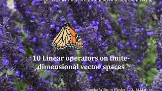 10 Linear operators on finite dimensional vector spaces