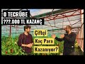 Yatırım & Kazanç Bölüm #1 -Çiftçiler Kaç Para Kazanıyor? Kapya Biber Üretimi #geleceküretimde