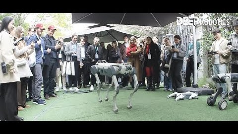 DEEP Robotics | 61 young Europeans from 30 countries