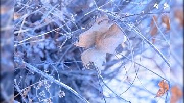 Stuck In A TIMELOOP by animadrop Photo and Promo video by us