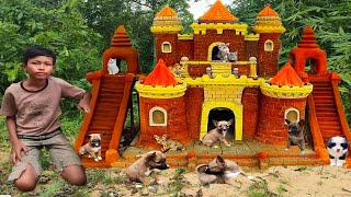 Boy ,,Cat Rescue From Abandoned Feeding Cat 15 Days Build Castle And Eel Pond Around cat House