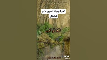 تلاوة جميلة للشيخ ماهر المعيقلي من سورة الزمر #تلاوة #قران_كريم #المصحف #اكسبلور