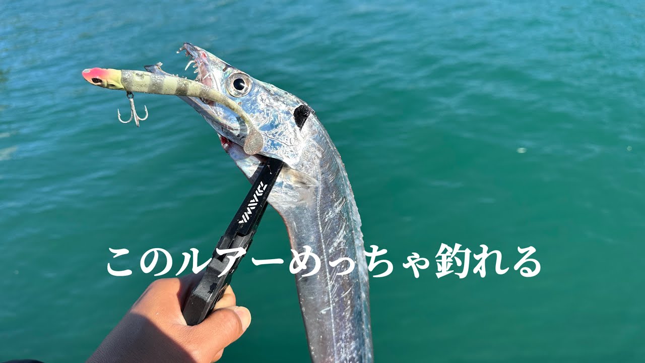 この時期DAY太刀魚はこのルアーがめちゃくちゃ釣れます