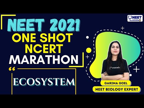 One Shot NCERT Marathon: Ecosystem | NEET 2021 | NEET Toppers | Garima Goel