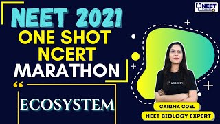 Phoenix 2.0: Biology Most Important Video for NEET 2025 | Unacademy NEET Toppers | Udaan