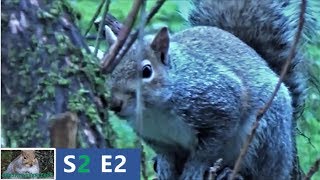 Chicos Adventures - The Bionic Chico Parody Season 2 Episode 2