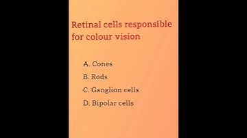 Retinal cells responsible for colour vision... Ophthalmology and Optometry MCQ