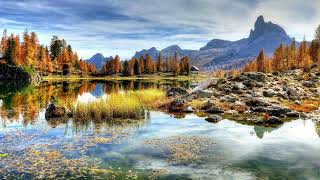 Ivory Tower - Philip Ayers, Celtic Music, Ambient Relaxing Music, Calming Flute Music