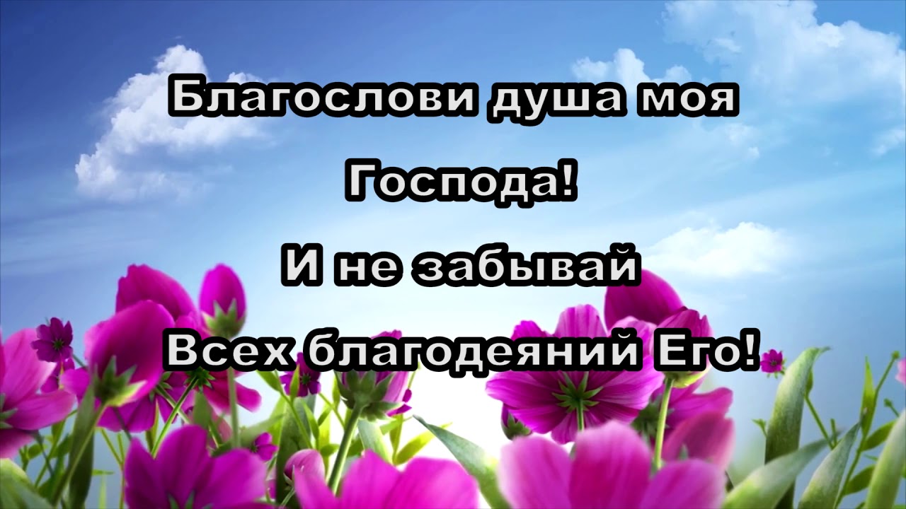 Видео песня господу. Благослови душа моя Господа. Благослови душа моя ,Господь. Благослови душа моя Господа и не забывай всех благодеяний его. Благослови душе моя Господа открытка.