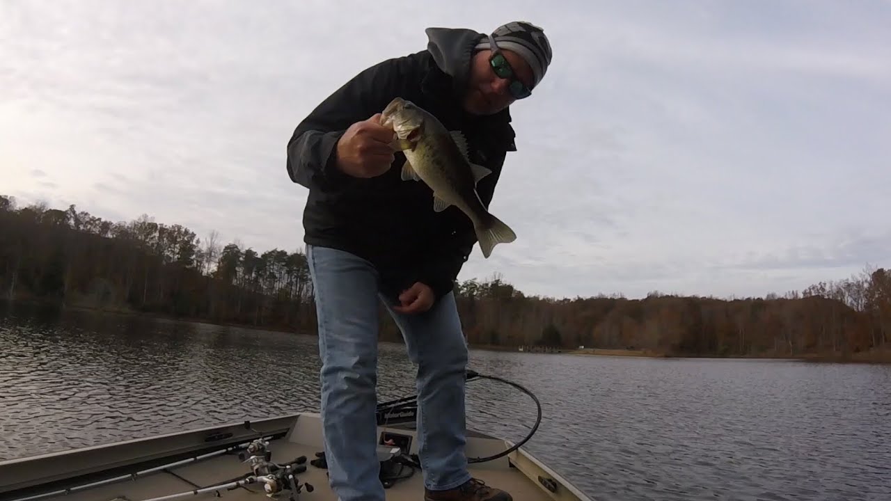 Fall Bass Fishing (Smith Lake - Quantico, VA) - YouTube