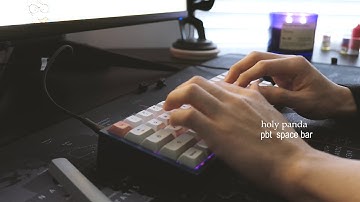 holy panda + Klippe. abs space bar vs pbt space bar