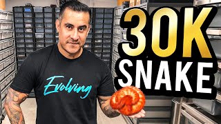 I Can't Believe He Sold Me This Snake! I Hit The Snake Lottery!