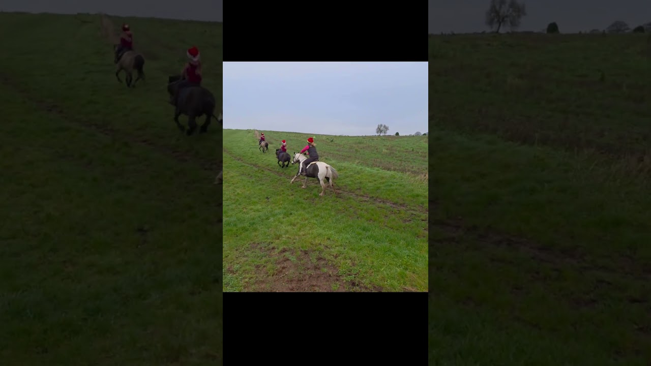 Полный галоп домой 