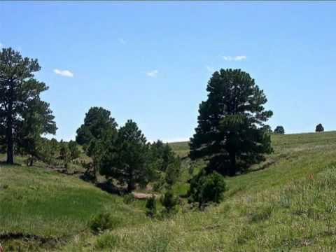 Personals in kiowa colorado