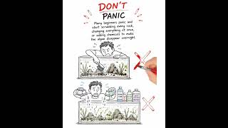 The Biggest Mistake During The Aquarium Ugly Stage! 🐠