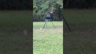 Deer Feeder First Run