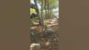 CLEAN & PLASTIC FREE CAMPUS BY NSS VOLUNTEERS OF JIT |WORLD NSS DAY #nss #jit #Cleaning #plasticfree