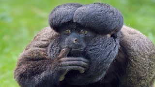 SHOCKING Photos That Will Leave You SPEECHLESS! Net Worth
