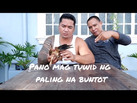 Video: Paano Iguhit Ang Isang Buntot