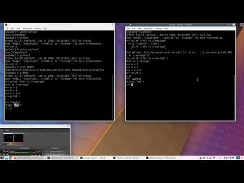 Python Programming: Running a Python Program, Linux version - YouTube