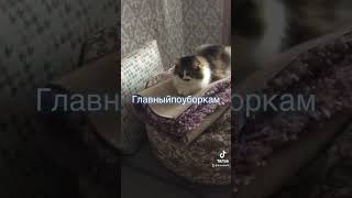 Кот Тимошка Матроскин