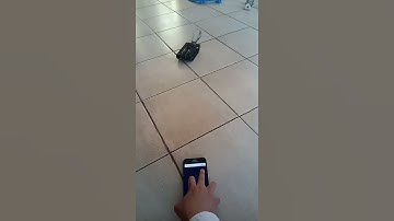 Phone Websocket ESP8266 Tank Test
