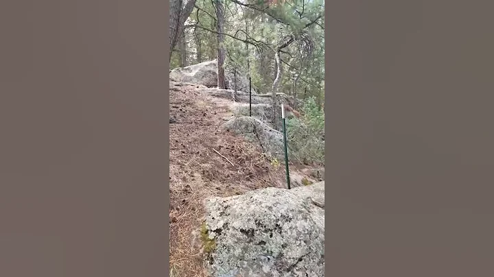 Old Fence Encroachment