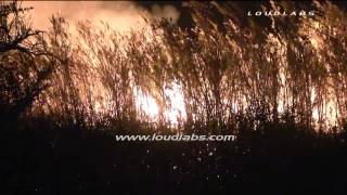 Lost Lake Fire - San Bernardino   RAW FOOTAGE