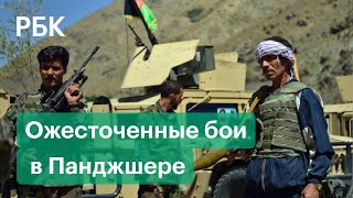 Талибы хотят убить Масуда и «поставить на колени всю страну» — афганский посол