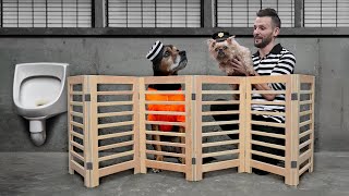 DIY Modern Retractable Dog Gate