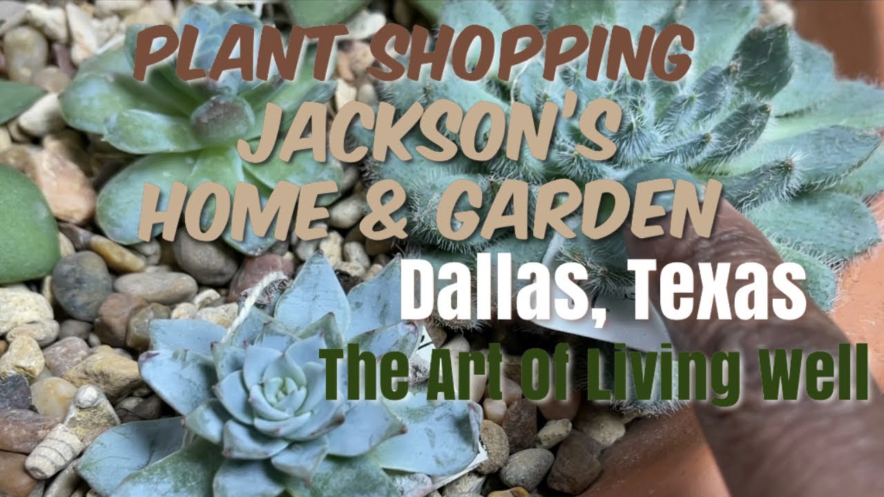97 Plant Shopping! 1st Time Visiting Jackson's Home & Garden