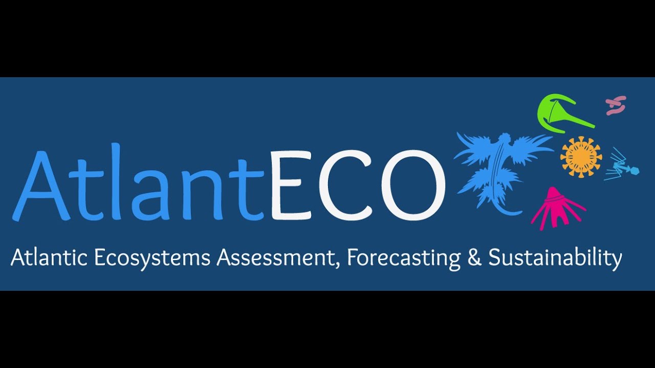 Want to know more about AtlantECO?