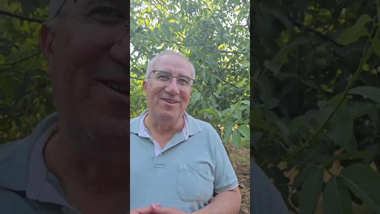 Çeviz yetiştiriciliğinde güzel bir başarı öyküsü - Denizli / Çameli