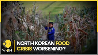 North Korean food shortage seems to be worsening, South Korea says | Latest English News | WION