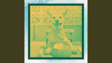 Pulsating Moods for Doggy Nap Time