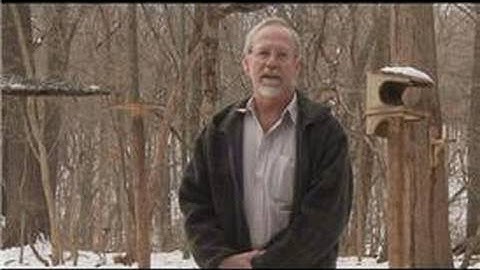 Bird Watching : How to Identify Wild Bird Eggs