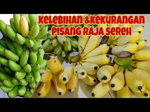 Cara Mengolah Pisang Raja Sereh
