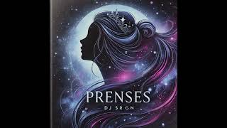 Dj Srgn - Prenses Romantik Türkçe Pop 2024