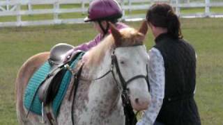 1 Gracie 20091128 Mount.AVI
