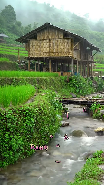 Download lagu Hujan Turun (5) #hujan #rainoundforsleep #hujanturun #shout